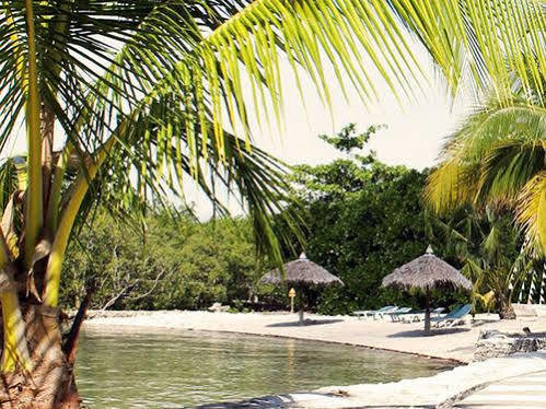 Whispering Palms Island Resort Bacolod Eksteriør bilde